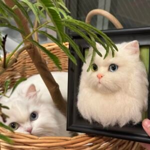 Custom Wool Felt Pet Memorial Figurine in Frame — Handmade Needle-Felted Replica of Your Cat or Dog