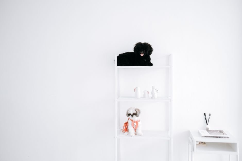 dog memorial gifts