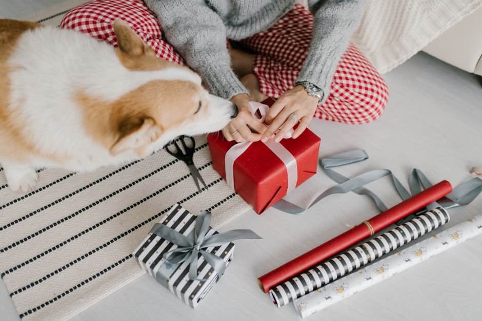personalized pet gifts
