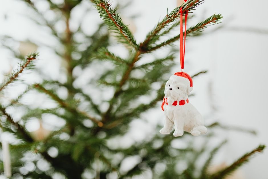 christmas gifts for dog lovers
