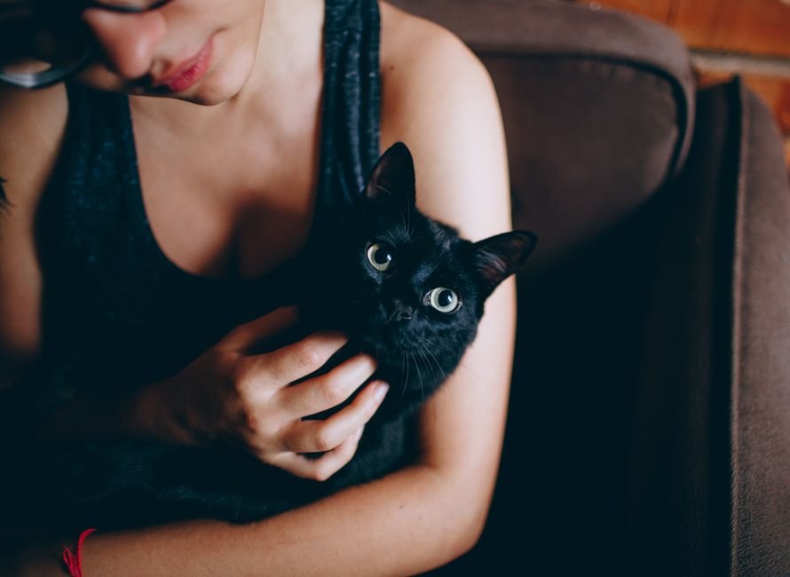 gifts for cat moms