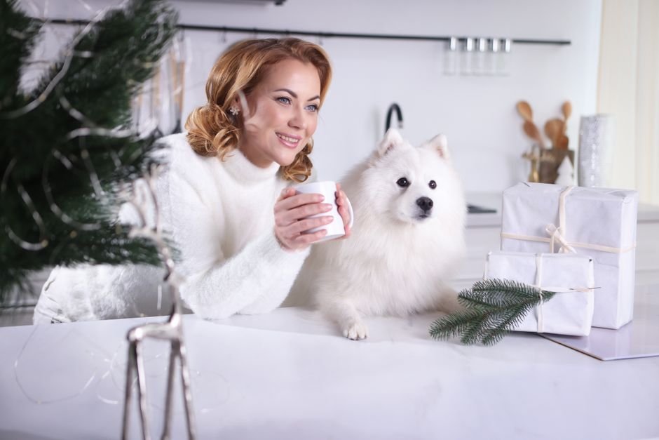 custom pet photo gifts