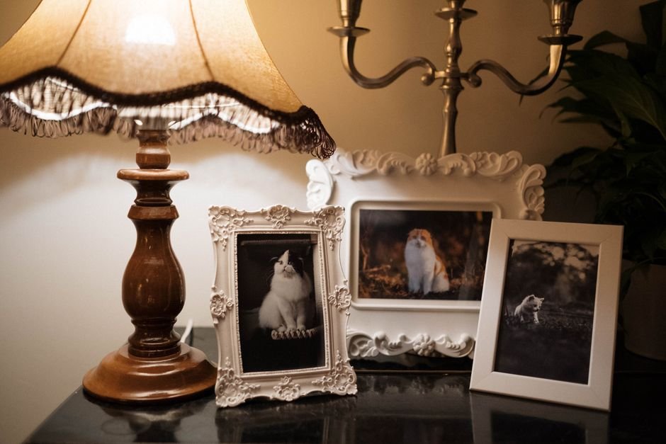 pet loss sympathy gifts