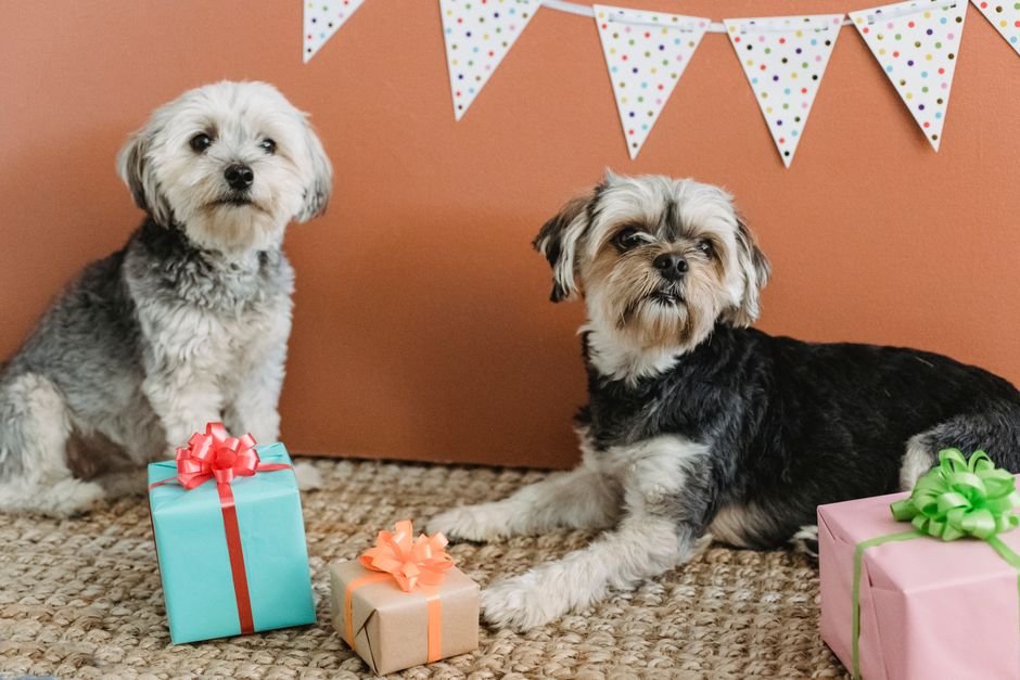 gifts for dog moms