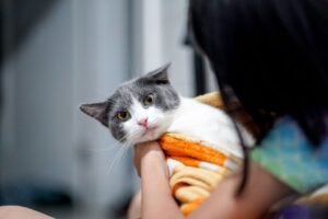 A proud cat lover cuddling her cat — ideal cat lover gift inspiration