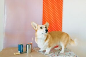 A custom painted pet portrait on canvas, a timeless personalized pet gift