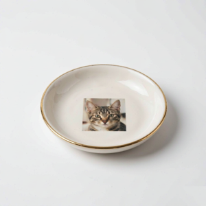 Ceramic Keepsake Dish with Pet Photo - White Glazed Gold-Rim Bowl